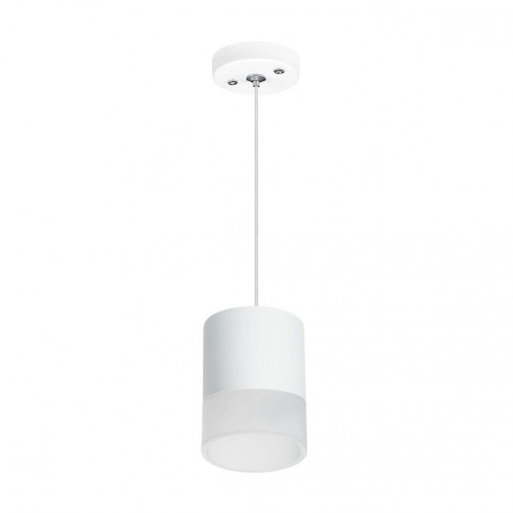 Комплект с подвесным светильником Lightstar Rullo (213486+590086+202481) RP348681