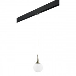 Комплект с трековым светильником Lightstar Globo (813011+595007) PRO813011